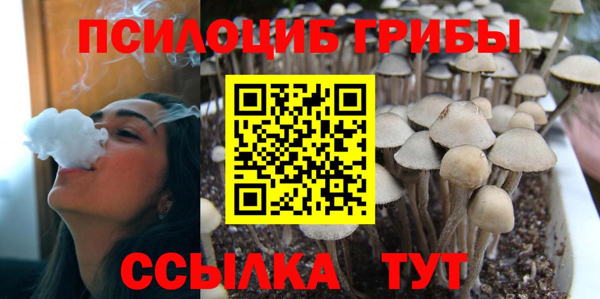  COCAIN Йошкар-Ола
